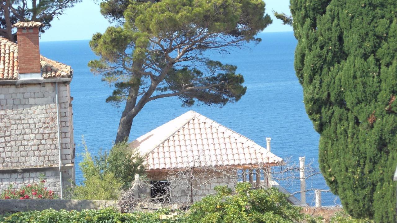 Villa Elly Dubrovnik Ngoại thất bức ảnh